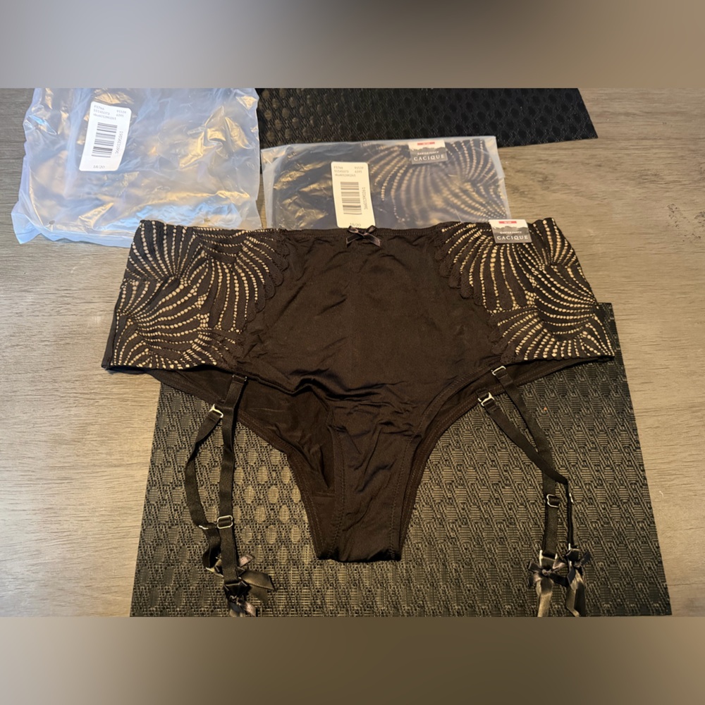 2 Lane Bryant Cheeky Brief Garter Panty
New size 18/20